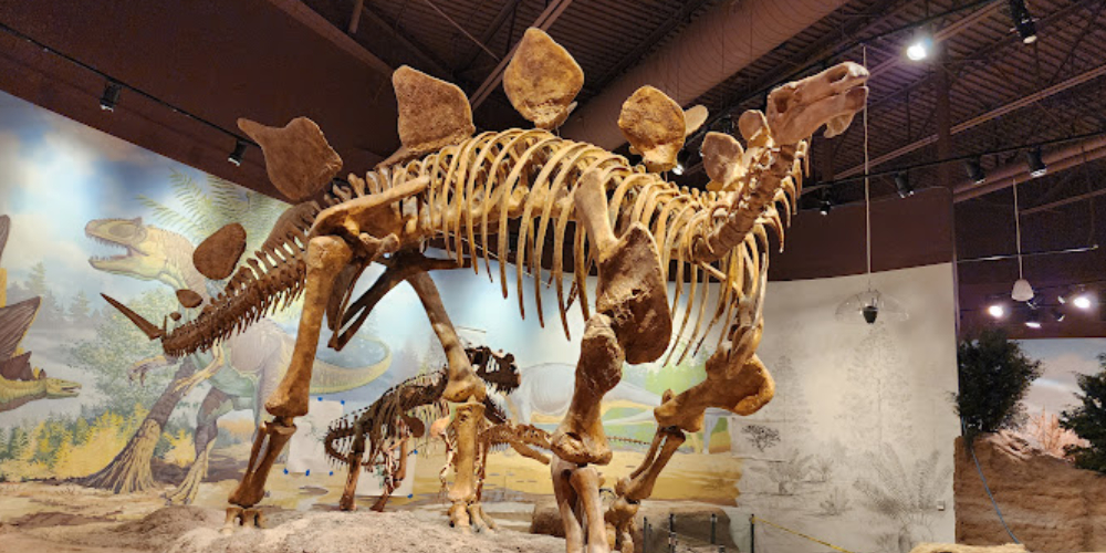 Utah Natural History State Park Museum