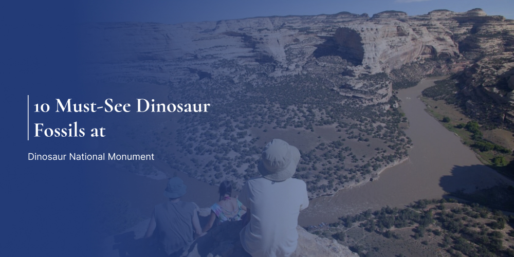 10 Must-See Dinosaur Fossils at Dinosaur National Monument