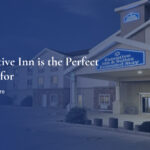 Why Executive Inn is the Perfect Base Camp for Your Dinosaur Adventure