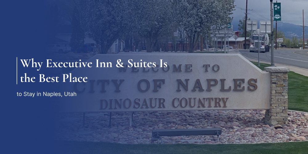 Executive Inn & Suites